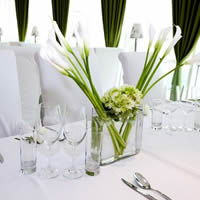 完美婚礼策划全攻略 从爱情故事到浪漫蜜月